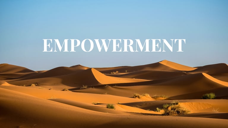 Transformation program