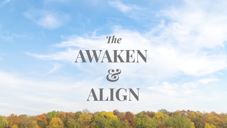 Awakening program